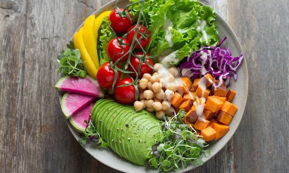 Exploring the World of Plant-Based Diets