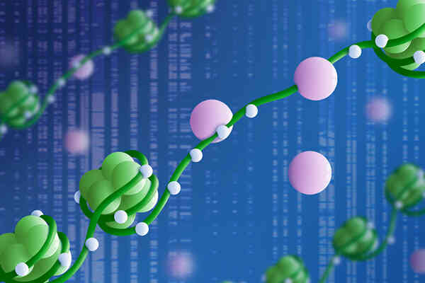 What is Epigenetics