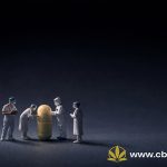 Pediatric dentistry in Dubai — approach, prevention, and child-friendly care