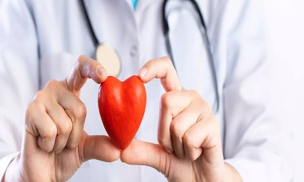 Choosing an Ayurvedic Doctor for Personalized Healthcare: A Patient’s Guide